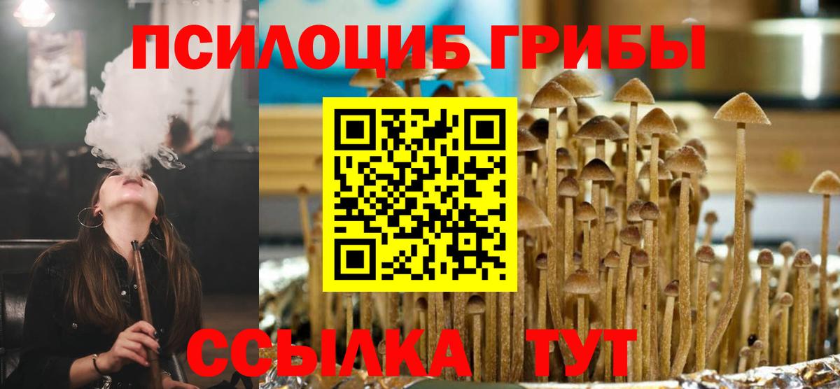 где продают   Галлюциногенные грибы мухоморы  Вход с VPN  Псилоцибиновые грибы мухоморы  Узловая 